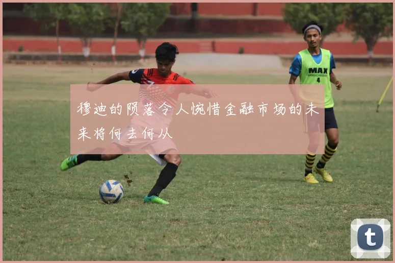 穆迪的陨落令人惋惜金融市场的未来将何去何从